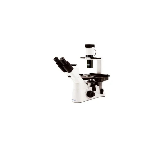 Microscopes à zoom stéréo